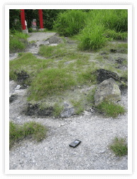 赤い鳥居から北西側約５メートルくらいの所