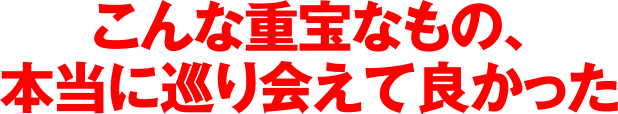 こんな重宝なもの、本当に巡り合えてよかった