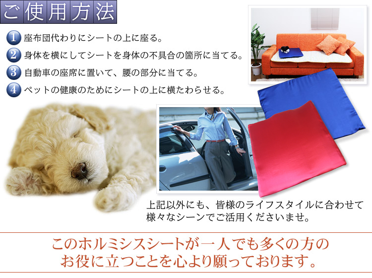 ���g�p���@