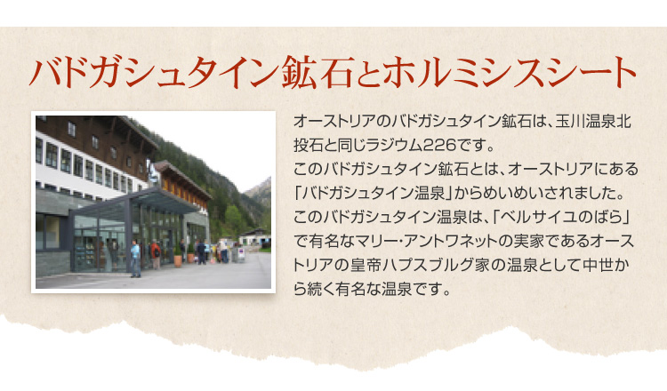 �o�h�K�V���^�C���z�΂ƃz���~�V�X�V�[�g