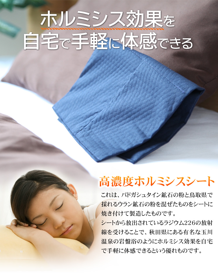 �z���~�V�X���ʂ�����Ŏ�y�ɑ̊��ł���