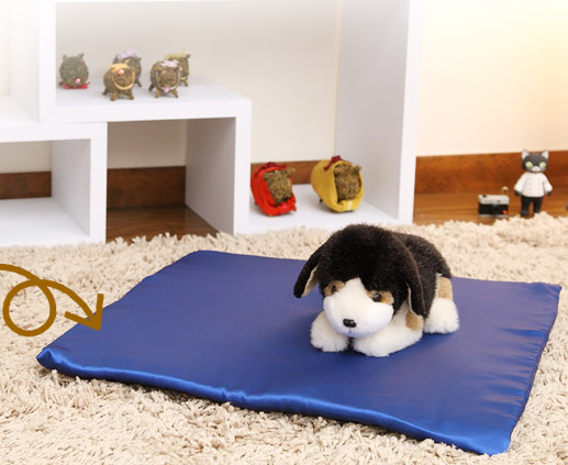 �o�h�K�V���^�C���z�΂̕����������z���~�V�X�V�[�g